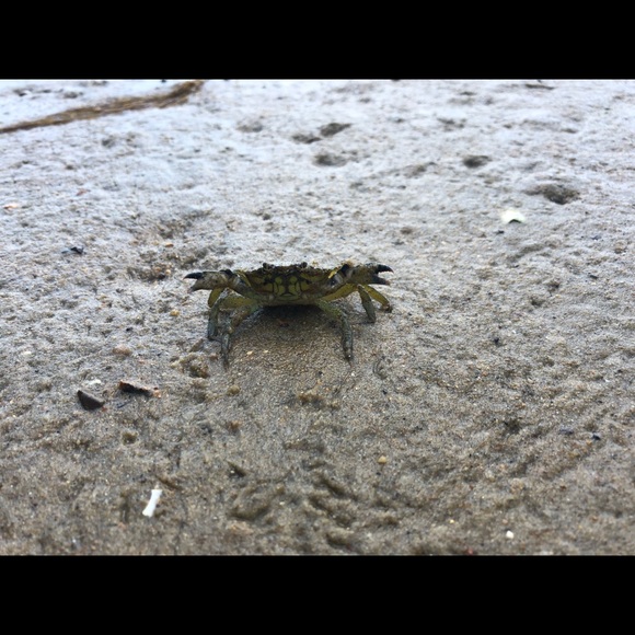 WHAT UP GUYS CHECK OUT MY CLOSET - Picture 2 of 4